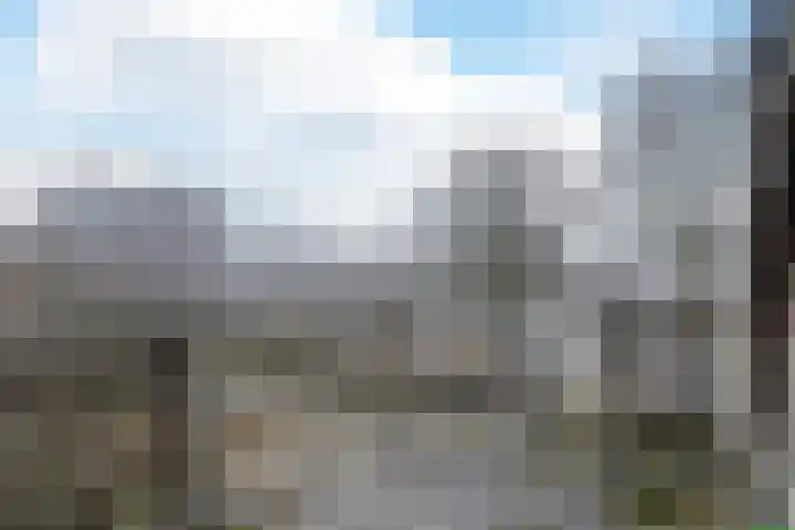 Grutterij 31 Alkmaar thumbnail 16