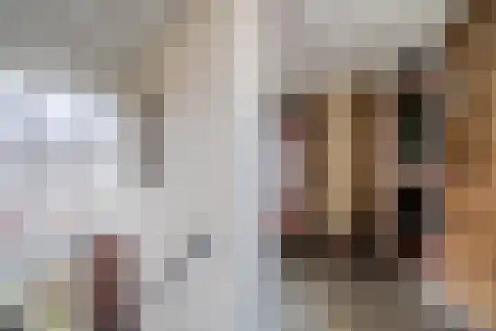 Grutterij 31 Alkmaar thumbnail 19