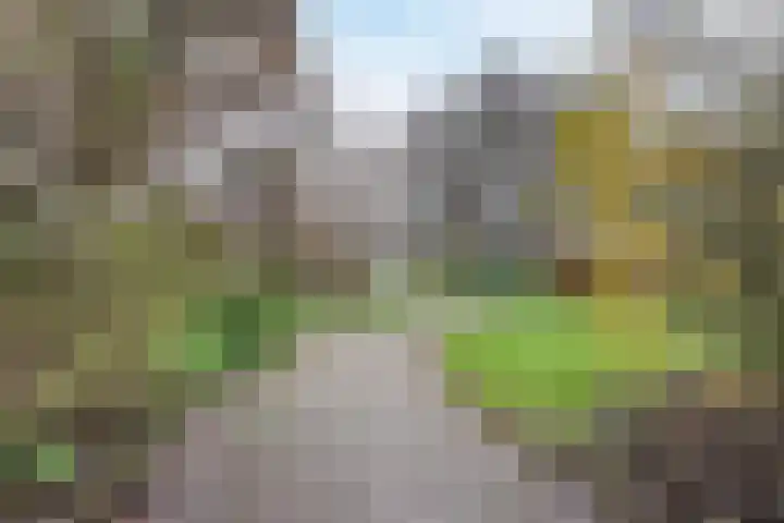 Grutterij 31 Alkmaar thumbnail 31