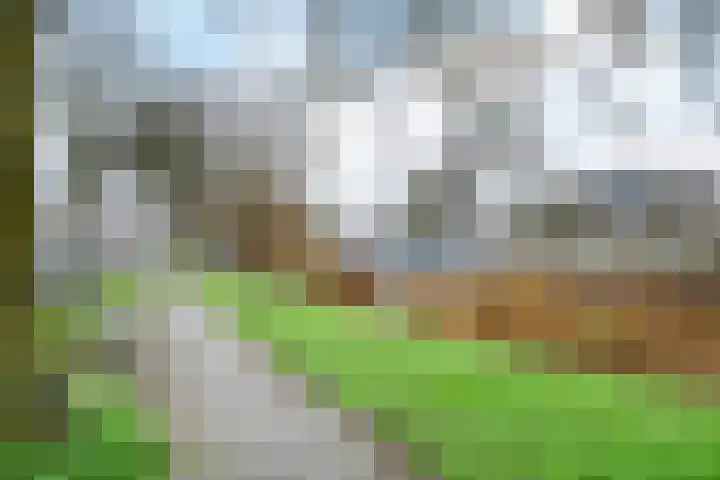 Grutterij 31 Alkmaar thumbnail 32