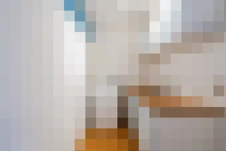 Grutterij 31 Alkmaar thumbnail 6