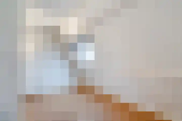 Grutterij 31 Alkmaar thumbnail 9