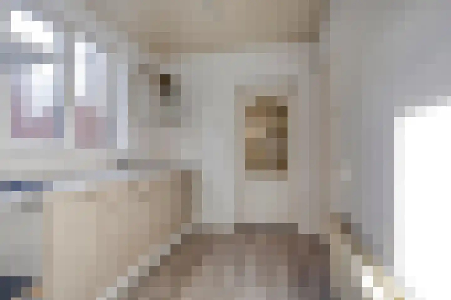 Grutterijstraat 42 's Gravenmoer thumbnail 14