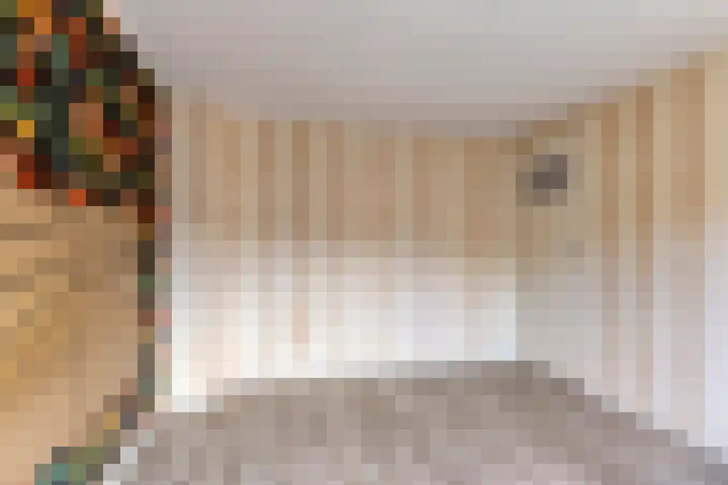 Grutterijstraat 42 's Gravenmoer thumbnail 19