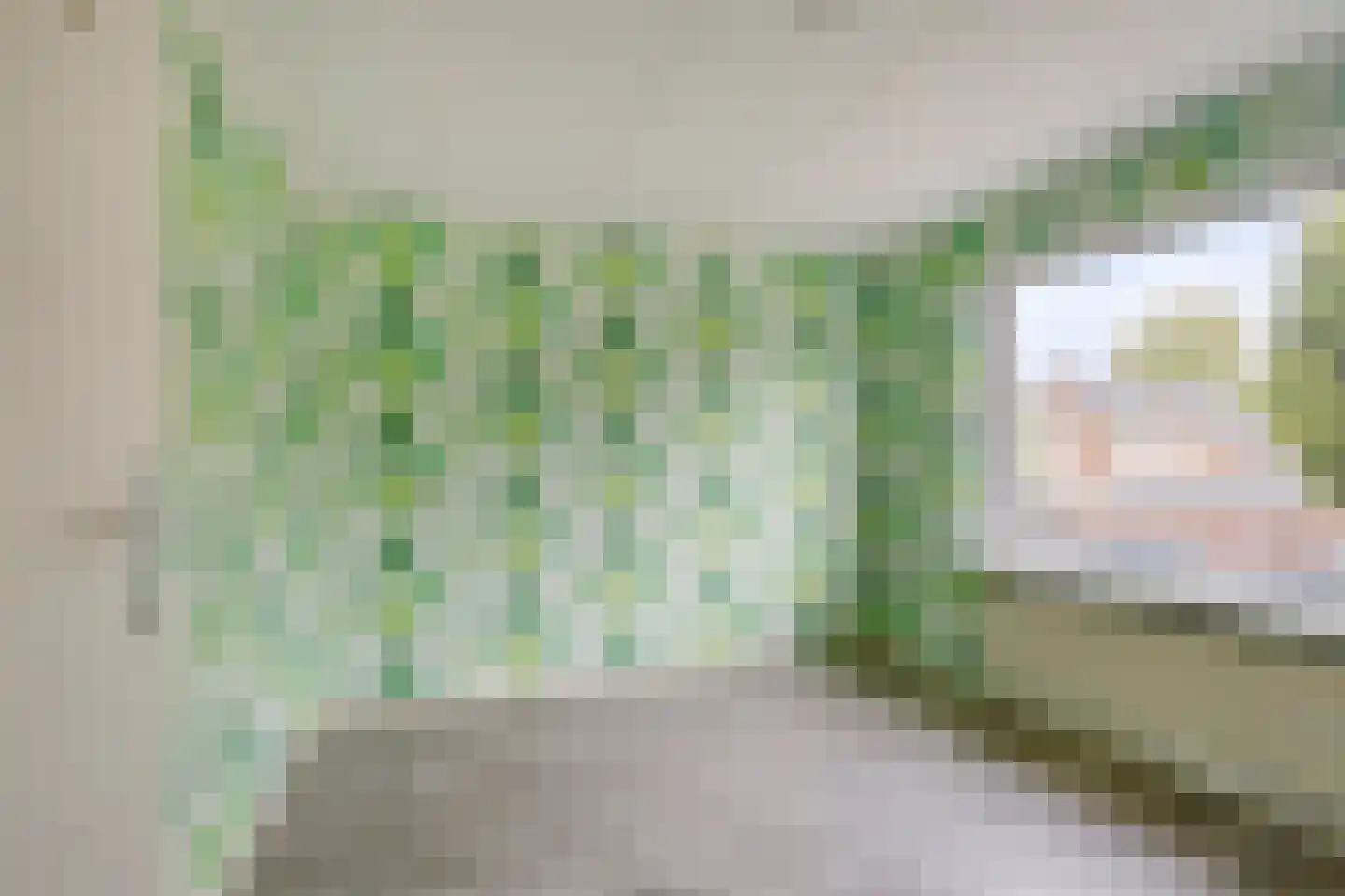 Grutterijstraat 42 's Gravenmoer thumbnail 20