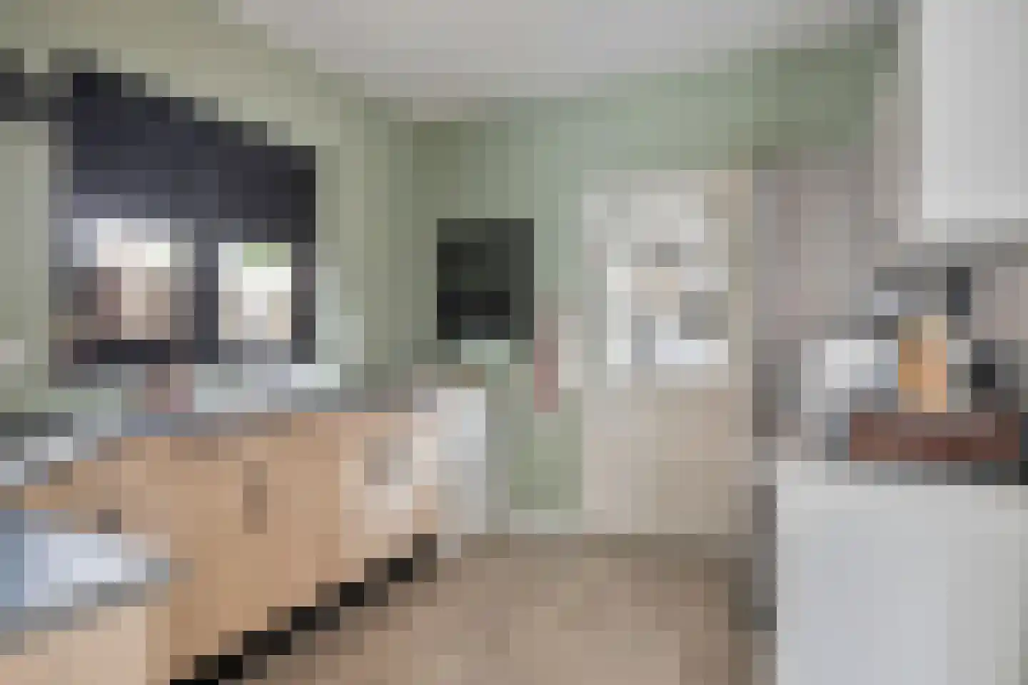 Grutterijstraat 74 's Gravenmoer thumbnail 11