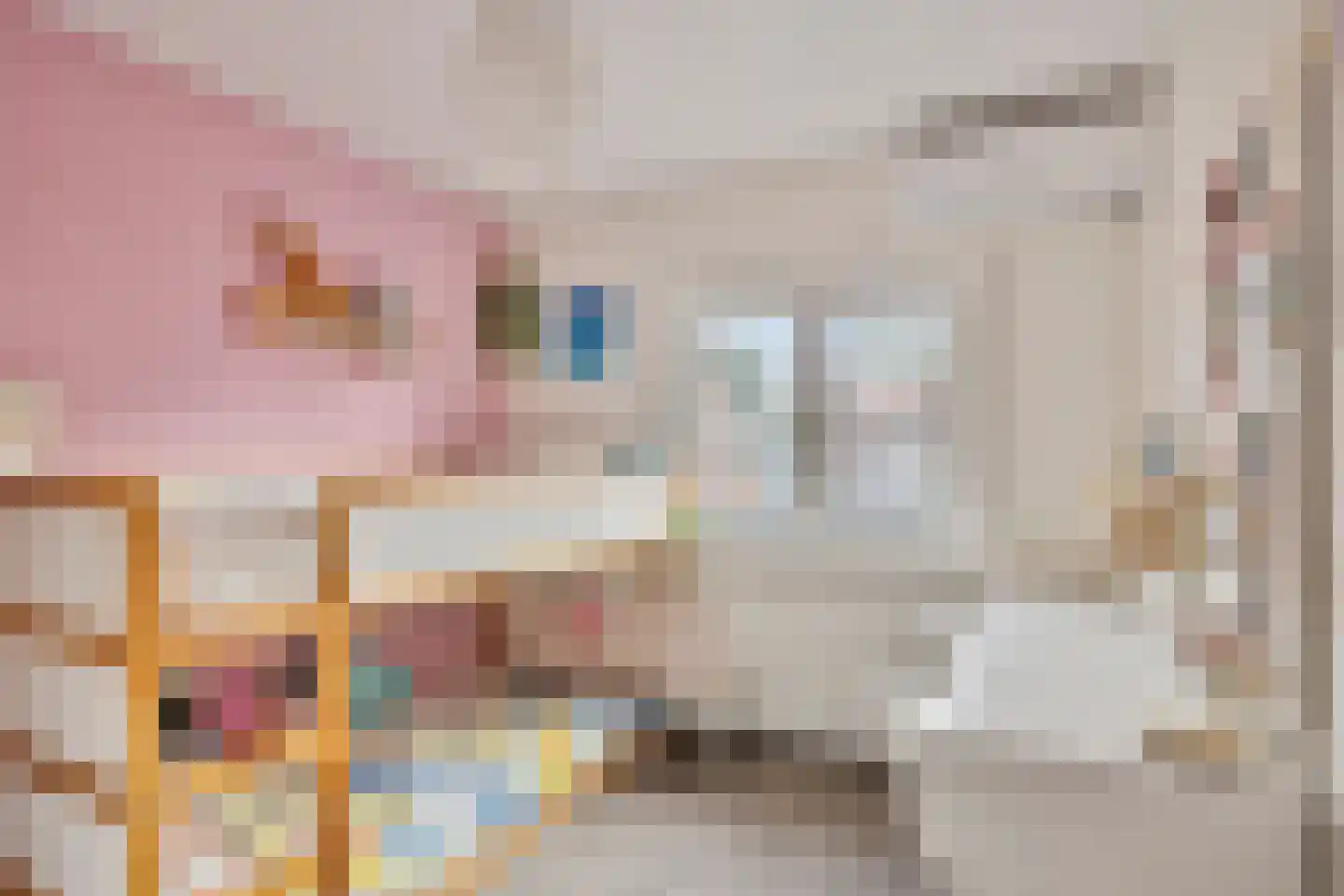 Grutterijstraat 74 's Gravenmoer thumbnail 25