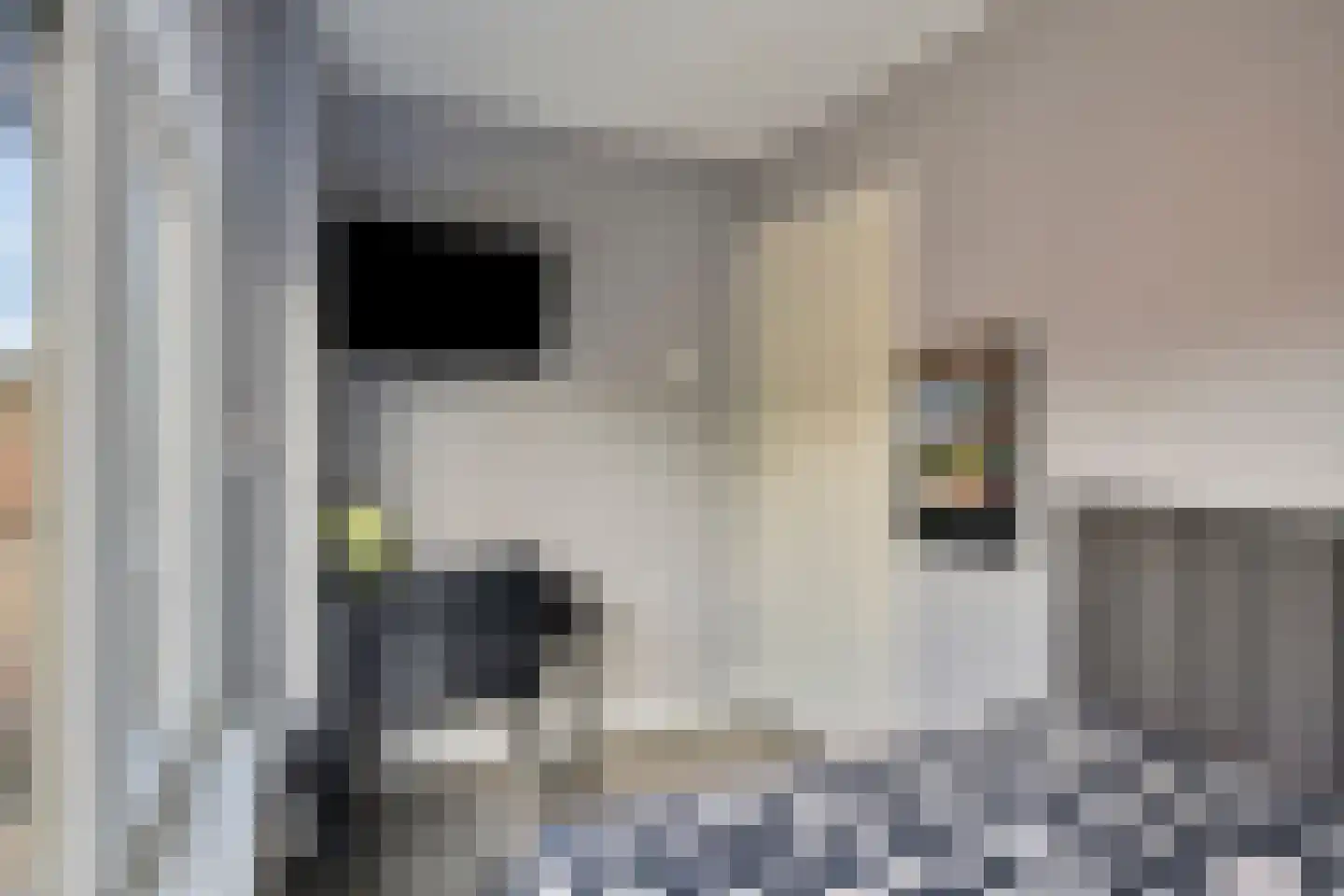 Grutterijstraat 74 's Gravenmoer thumbnail 28