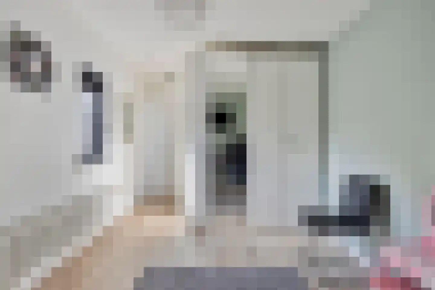 Grutterijstraat 74 's Gravenmoer thumbnail 32