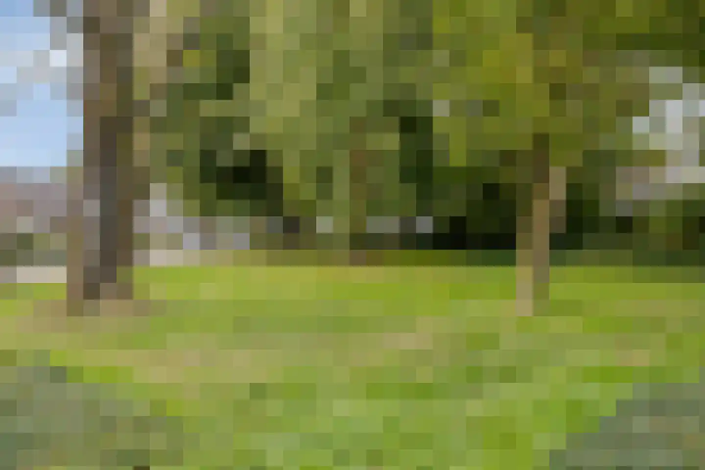 Grutterijstraat 74 's Gravenmoer thumbnail 39