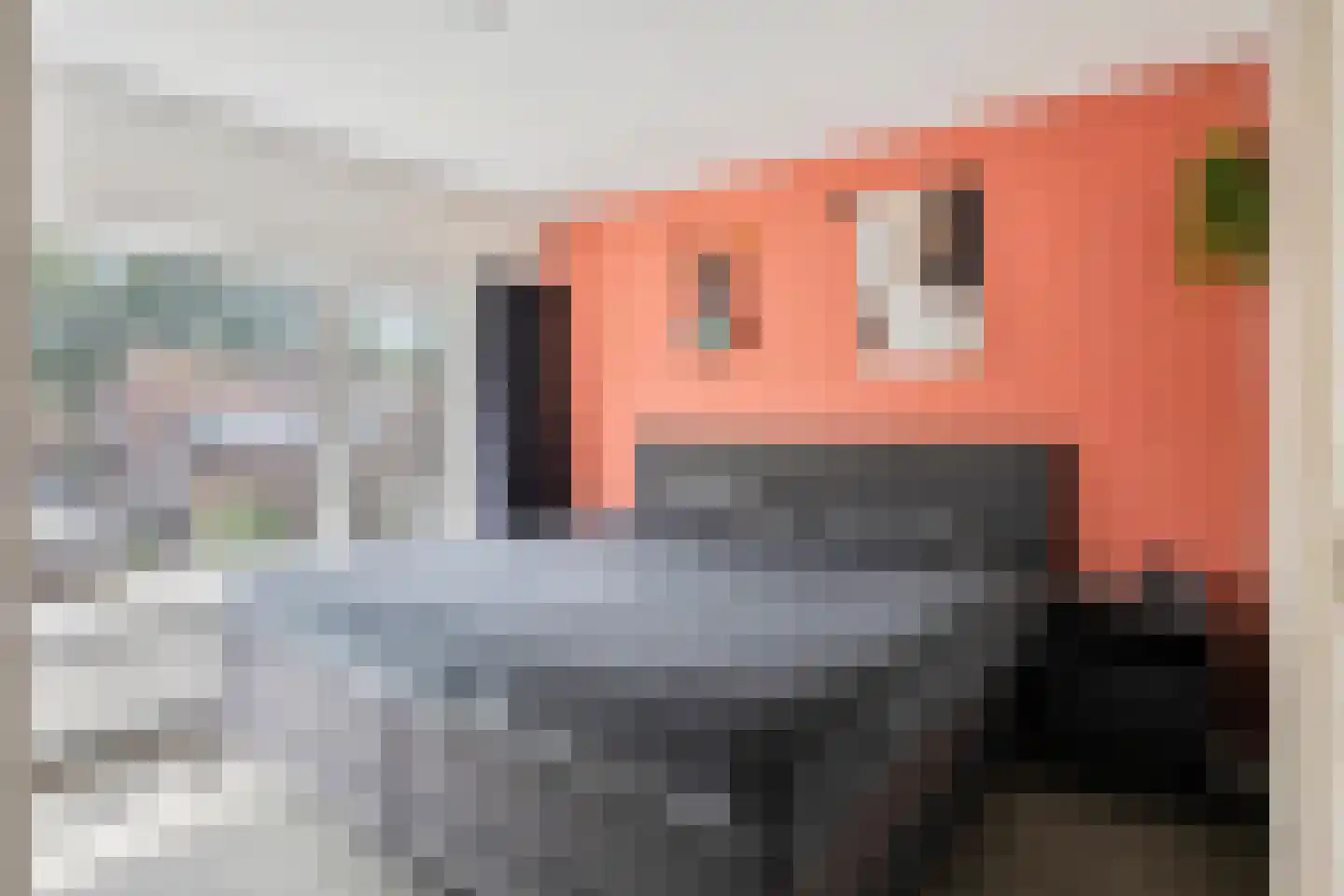 Grutterijstraat 74 's Gravenmoer thumbnail 4