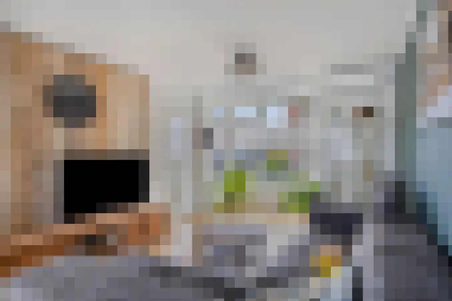 Grutterijstraat 85 's Gravenmoer thumbnail 13