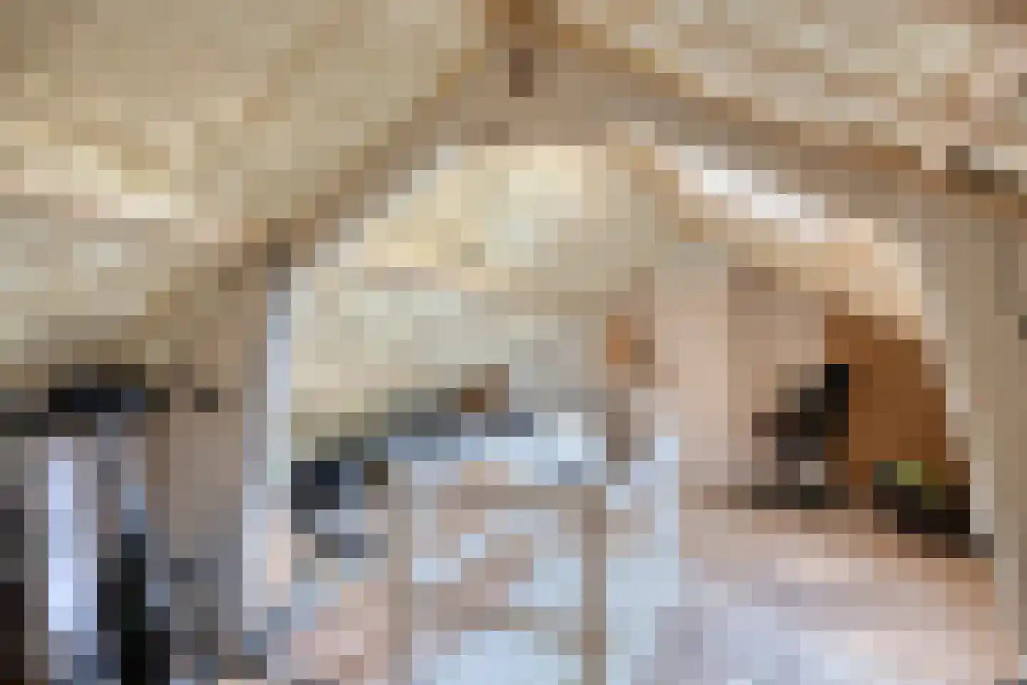 Grutterijstraat 85 's Gravenmoer thumbnail 34