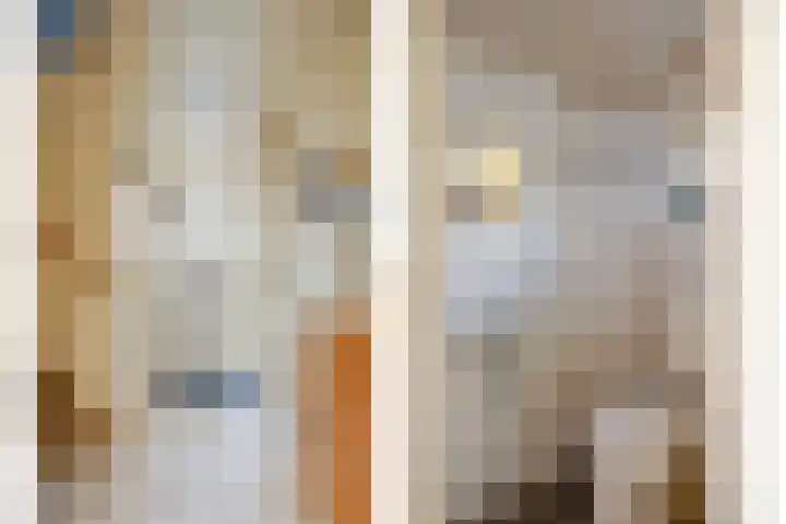 Grutterijstraat 93 's Gravenmoer thumbnail 10
