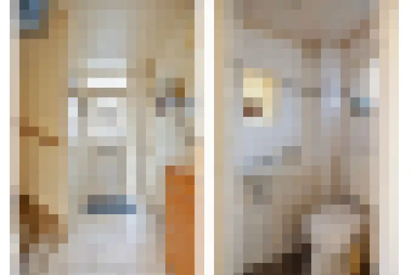 Grutterijstraat 93 's Gravenmoer thumbnail 10