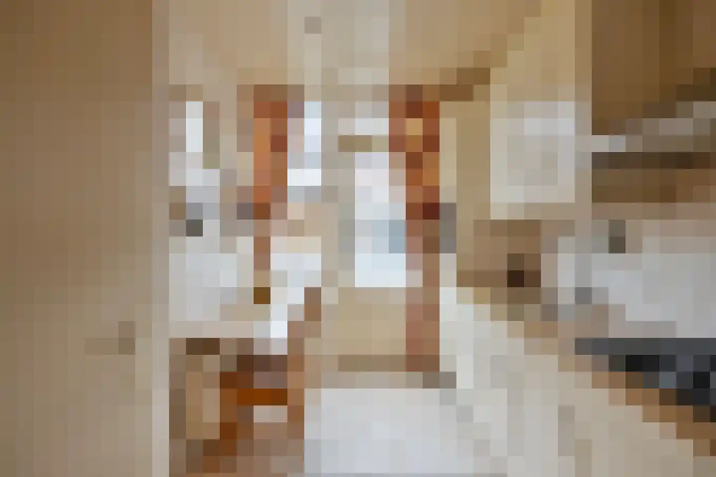 Grutterijstraat 93 's Gravenmoer thumbnail 11