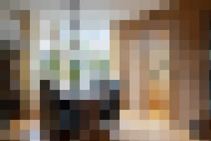 Grutterijstraat 93 's Gravenmoer thumbnail 18
