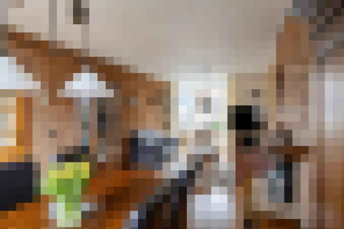Grutterijstraat 93 's Gravenmoer thumbnail 20