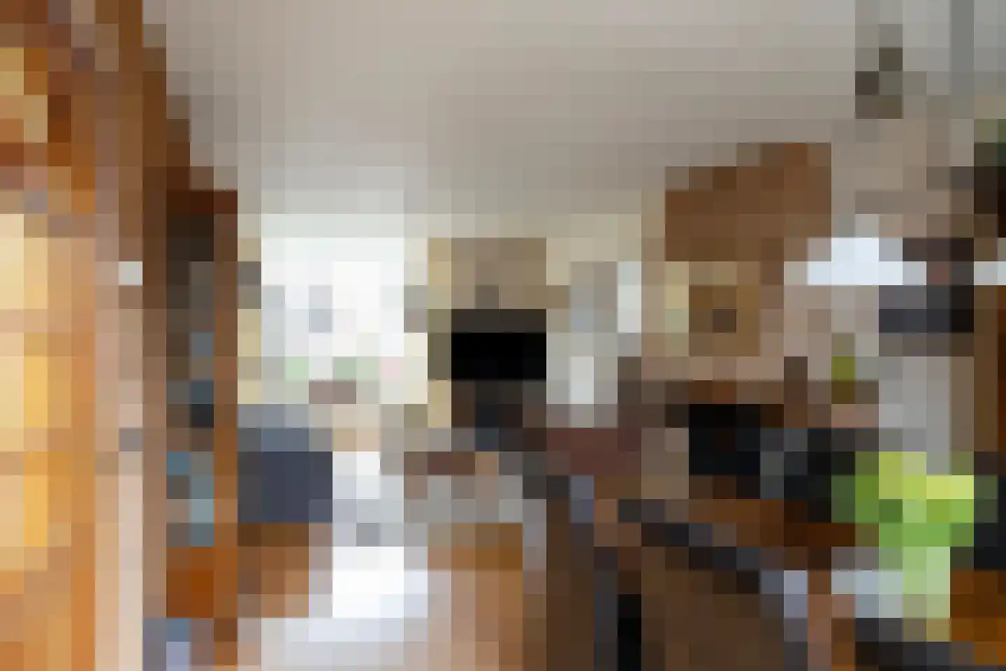 Grutterijstraat 93 's Gravenmoer thumbnail 21