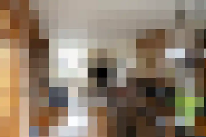 Grutterijstraat 93 's Gravenmoer thumbnail 21