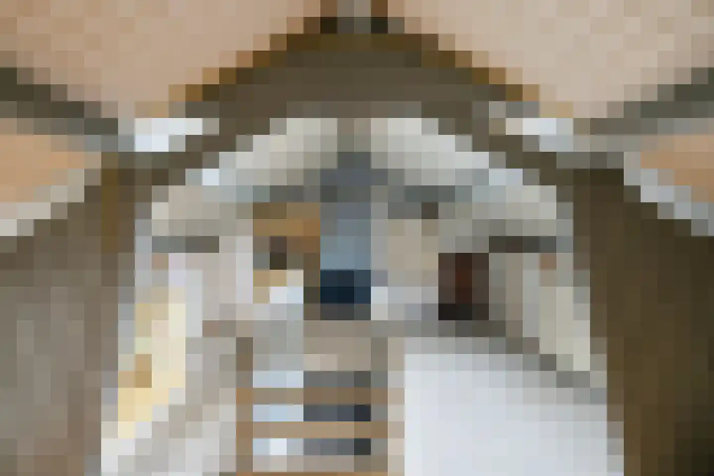 Grutterijstraat 93 's Gravenmoer thumbnail 31