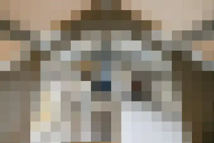 Grutterijstraat 93 's Gravenmoer thumbnail 31