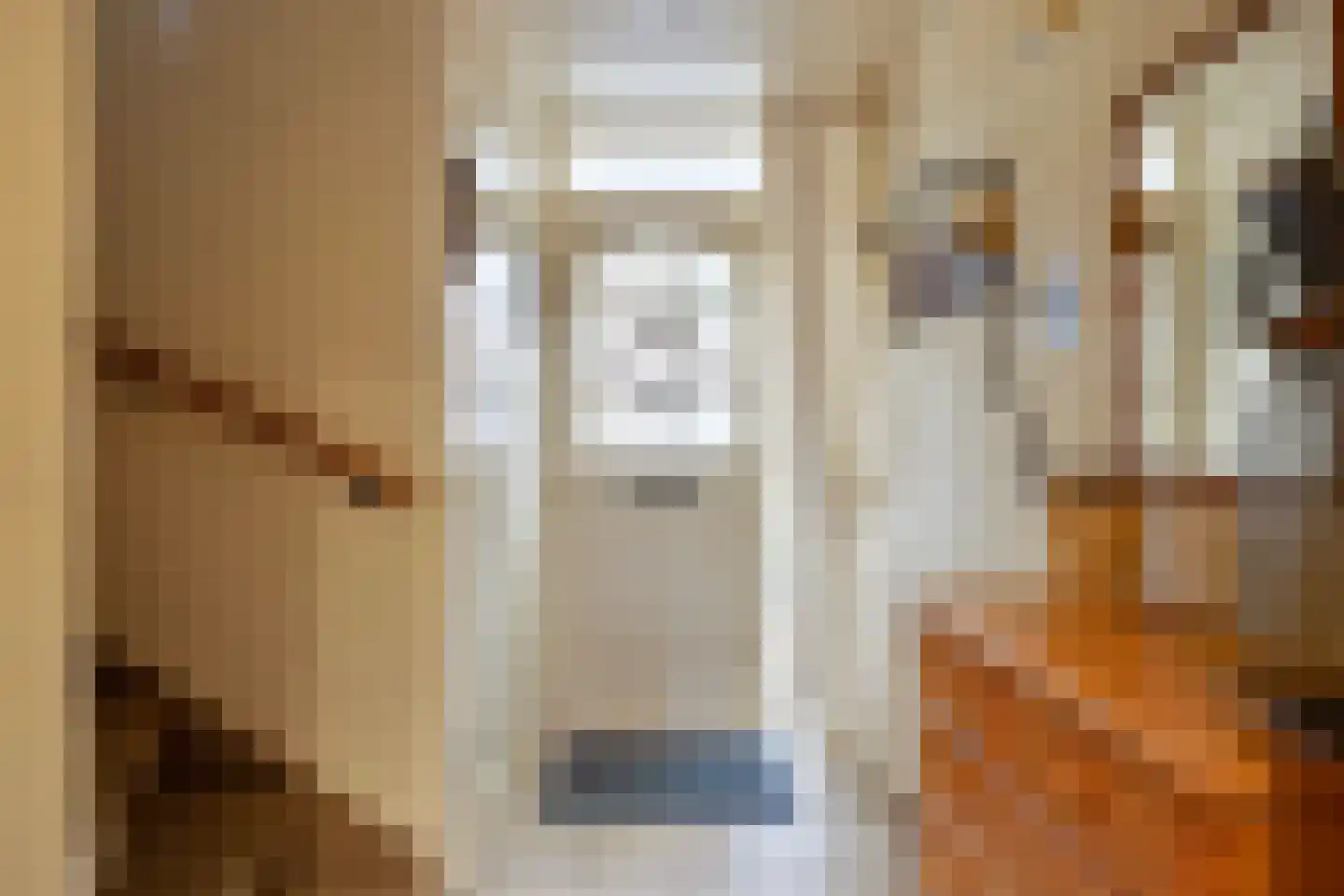 Grutterijstraat 93 's Gravenmoer thumbnail 9