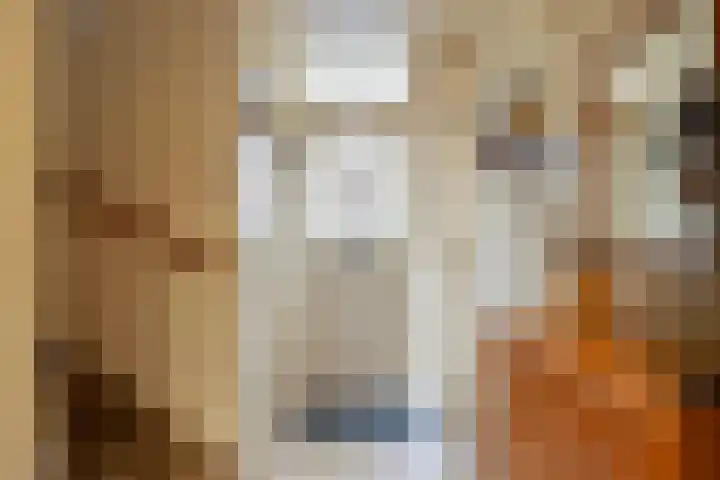 Grutterijstraat 93 's Gravenmoer thumbnail 9