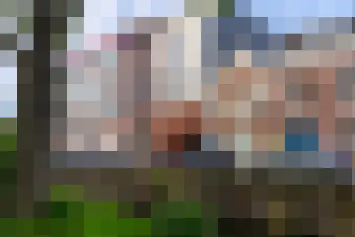 Gruttersdijk 17 Utrecht thumbnail 4
