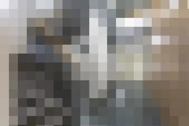 Gruttersdijk 17 Utrecht thumbnail 6