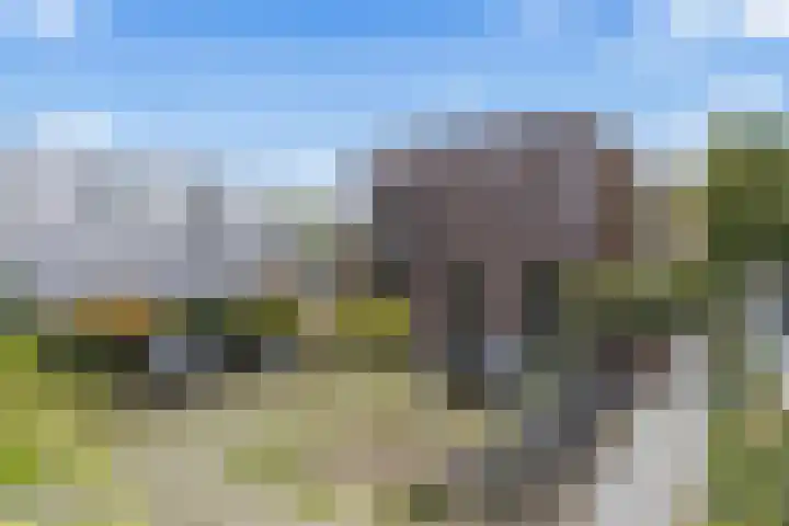 Gruttersdijk 25 G Utrecht thumbnail 7