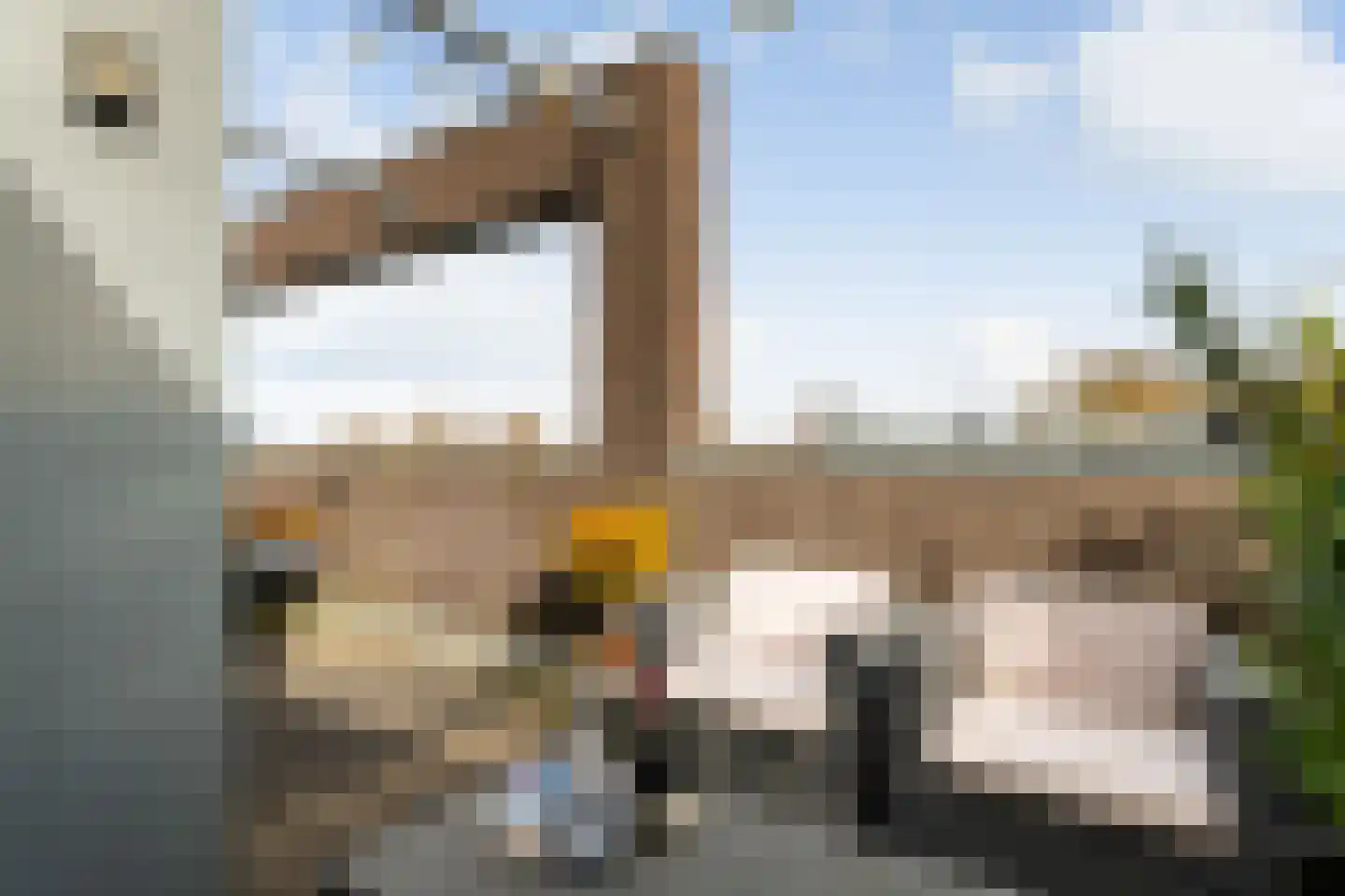 Gruttersdijk 27 T Utrecht thumbnail 24