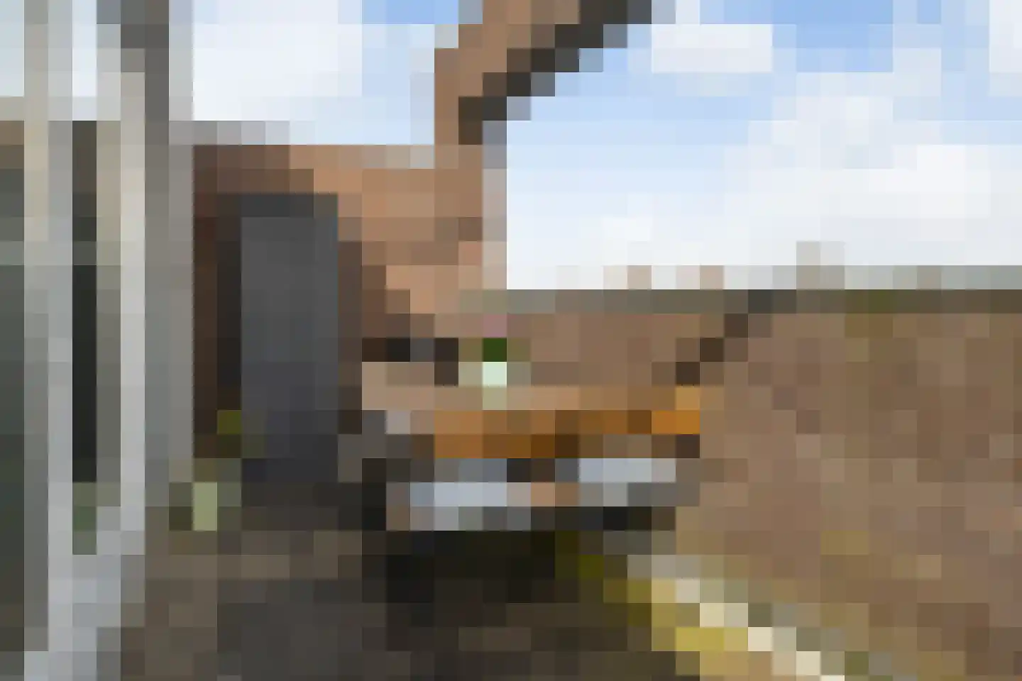Gruttersdijk 27 T Utrecht thumbnail 27