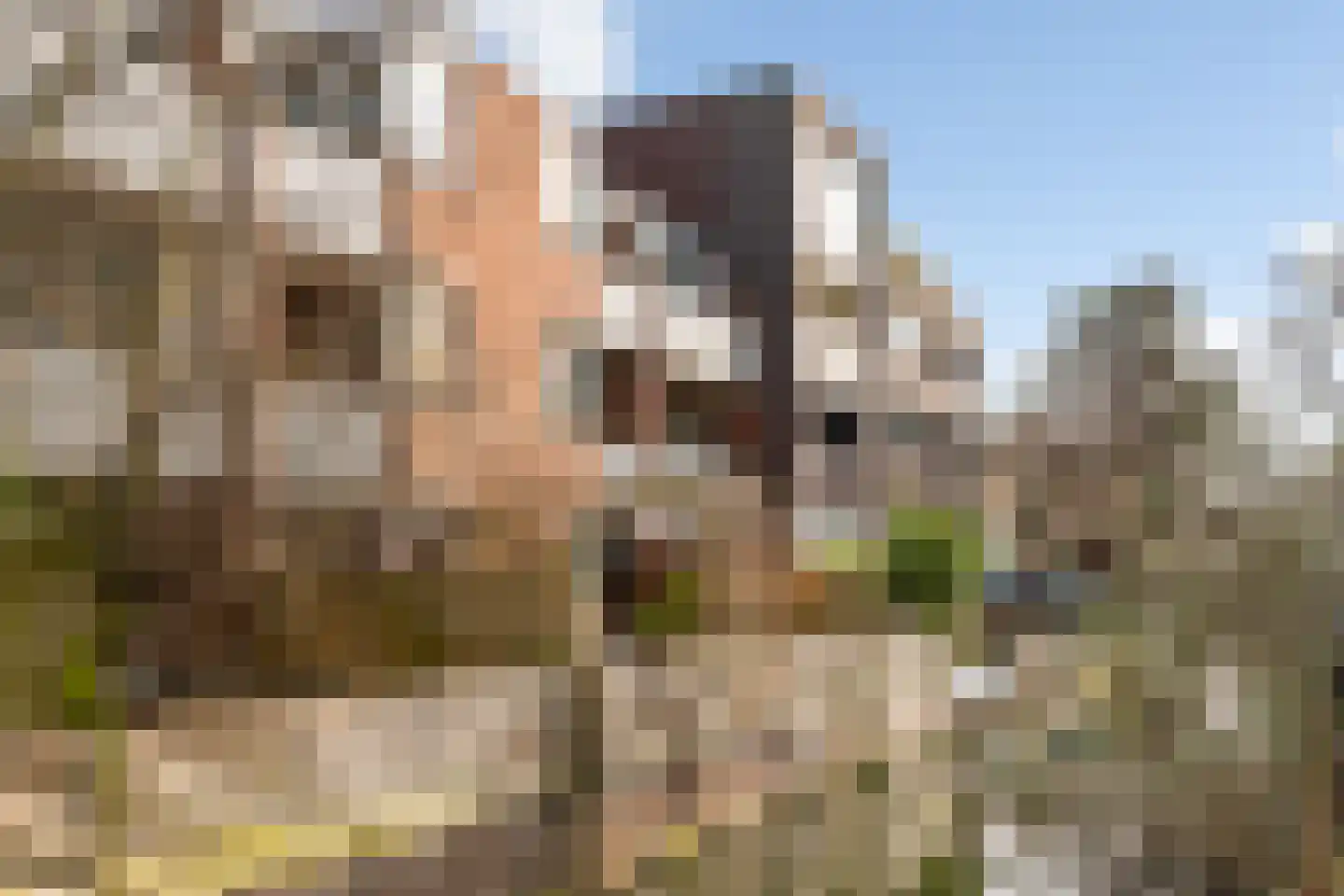 Gruttersdijk 27 T Utrecht thumbnail 43