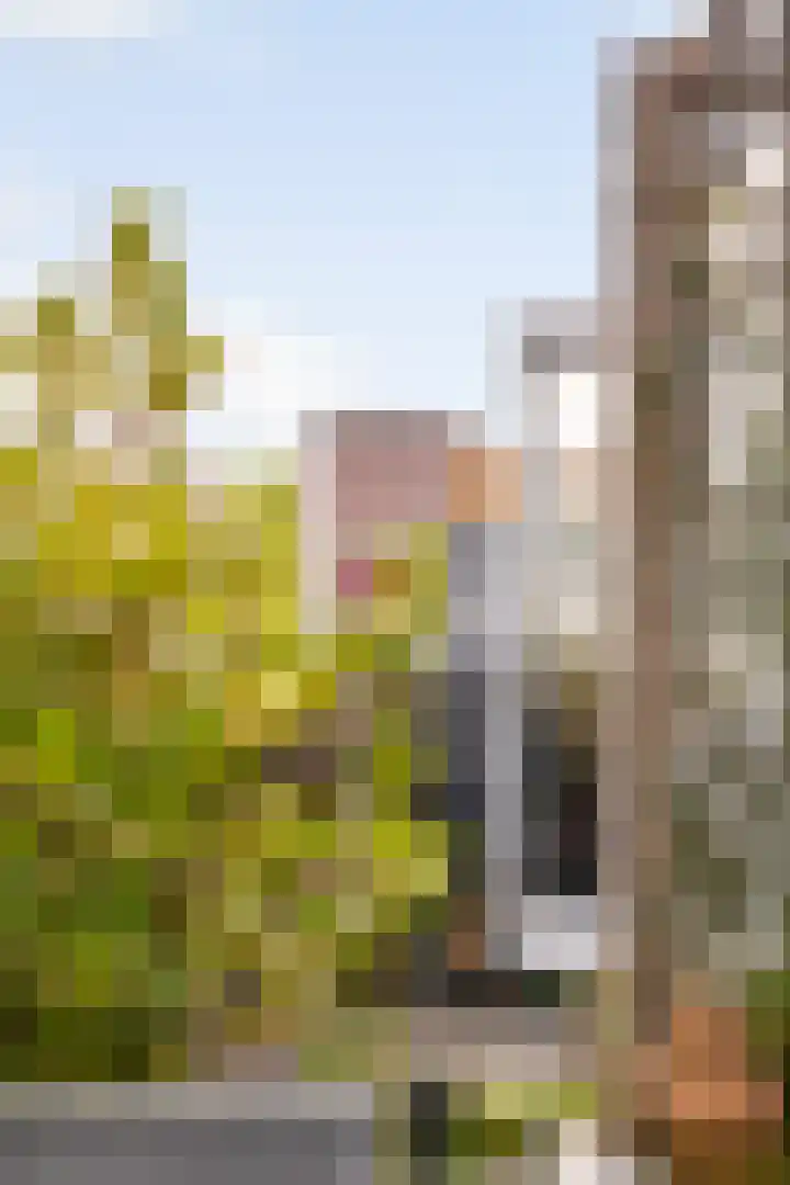 Gruttersdijk 27 W Utrecht thumbnail 29