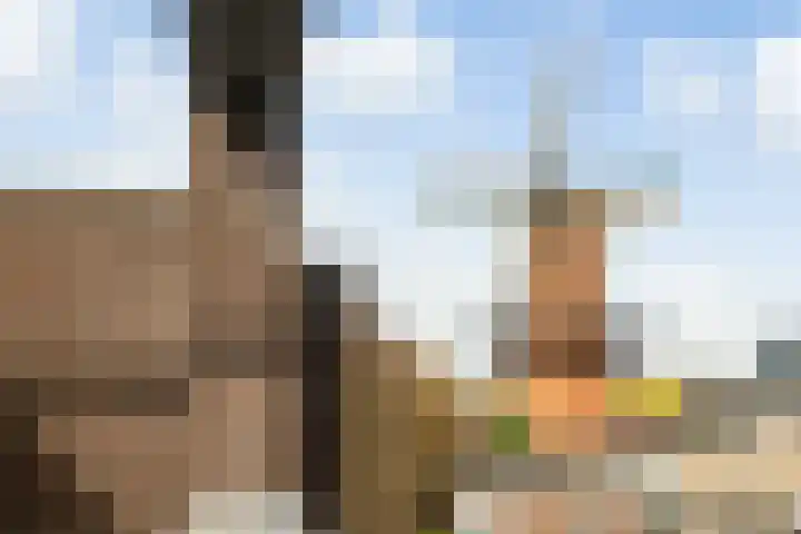 Gruttersdijk 27 W Utrecht thumbnail 4