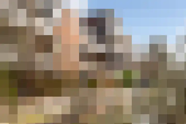 Gruttersdijk 27 W Utrecht thumbnail 43