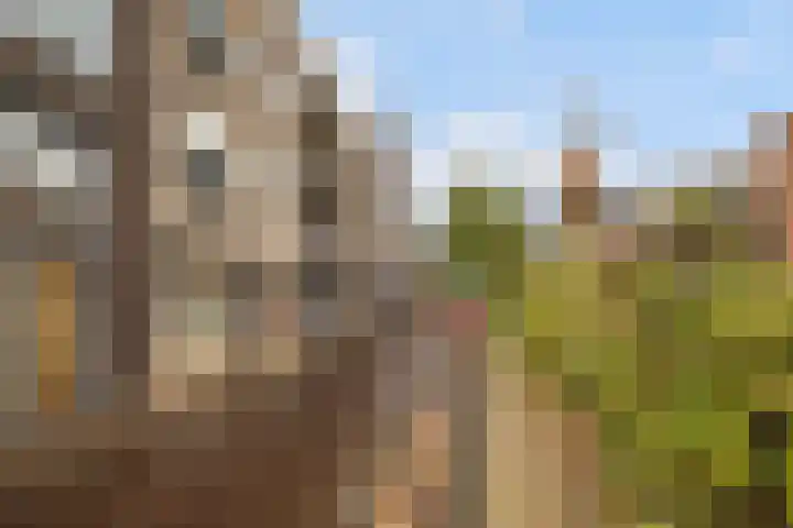 Gruttersdijk 27 W Utrecht thumbnail 47