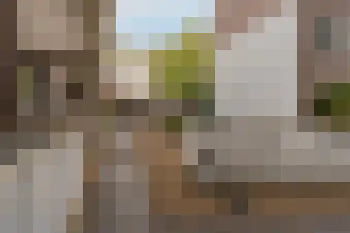 Gruttersdijk 28 Utrecht thumbnail 5