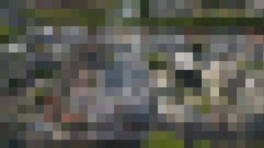 Gruttersdijk 30 Utrecht thumbnail 8