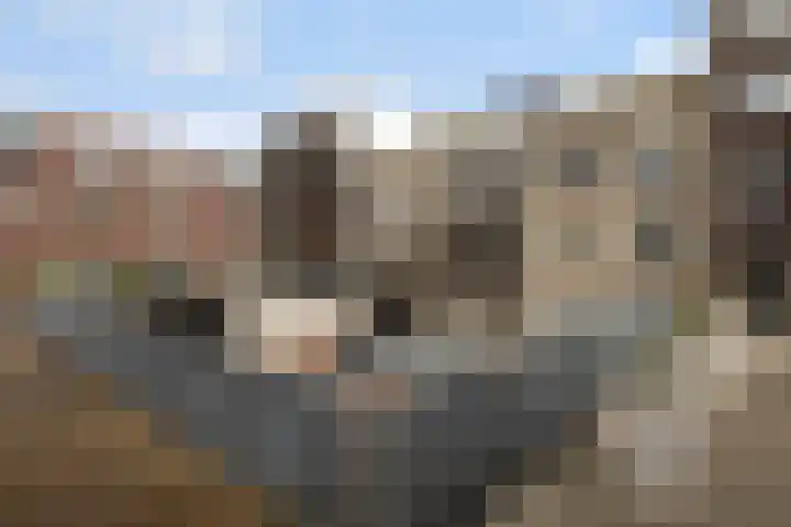 Gruttersdijk 34 J Utrecht thumbnail 29
