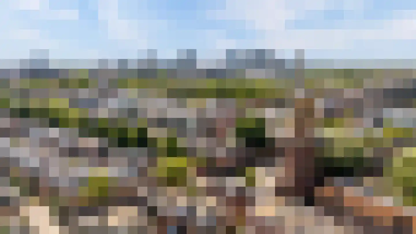 Gruttersdijk 37 G Utrecht thumbnail 42