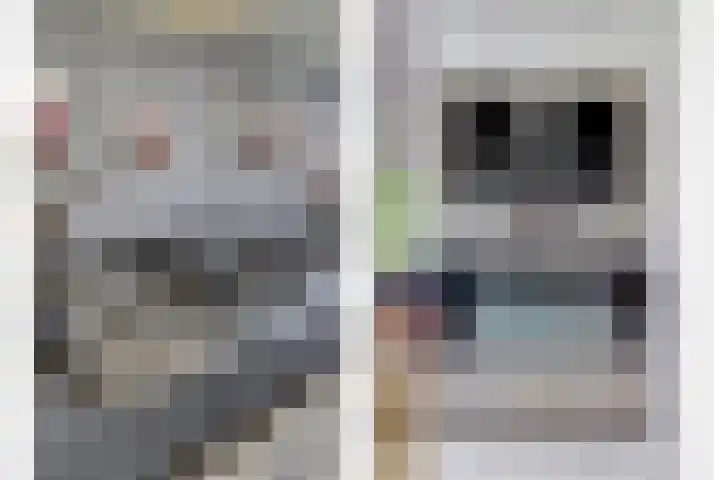 Gruttersdreef 207 Apeldoorn thumbnail 17