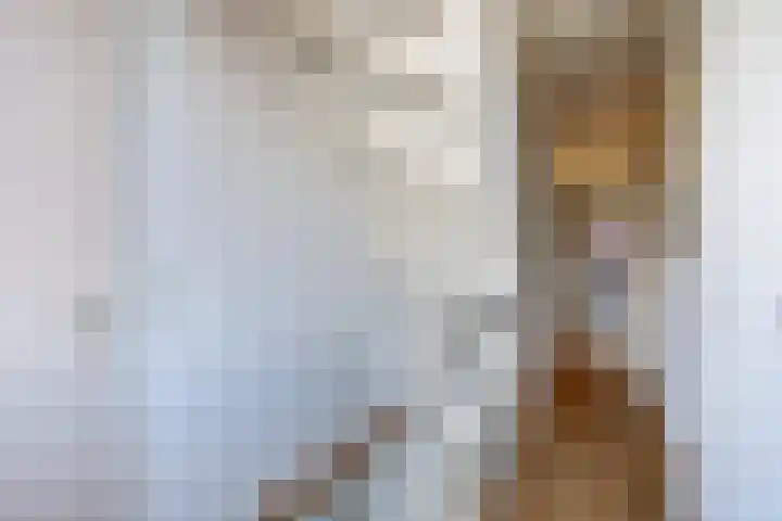 Gruttersdreef 207 Apeldoorn thumbnail 19