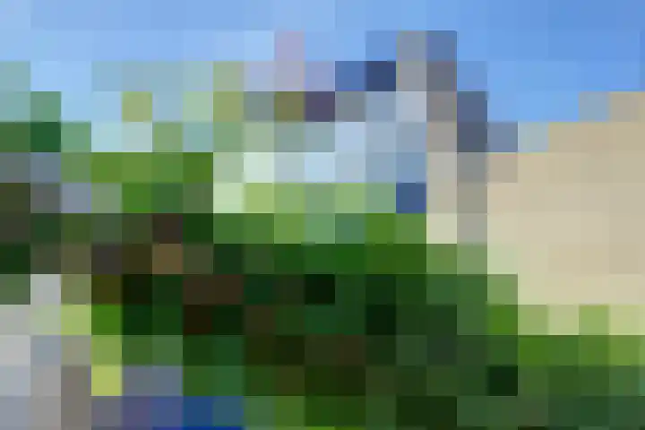 Gruttersdreef 207 Apeldoorn thumbnail 33