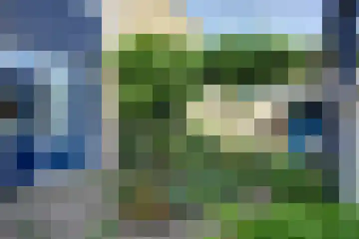 Gruttersdreef 207 Apeldoorn thumbnail 35