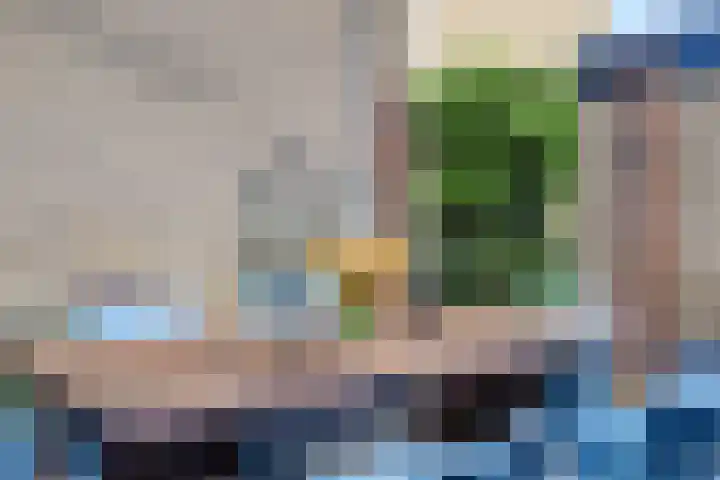 Gruttersdreef 207 Apeldoorn thumbnail 36