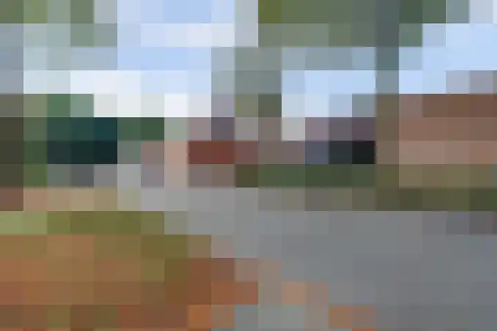 Gruttersdreef 207 Apeldoorn thumbnail 42