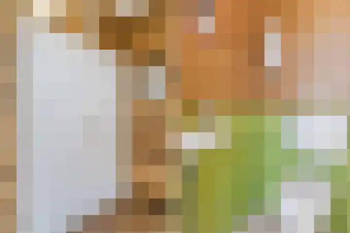 Gruttersdreef 210 Apeldoorn thumbnail 20