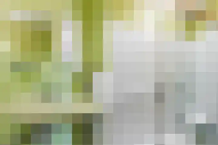 Gruttersdreef 210 Apeldoorn thumbnail 36